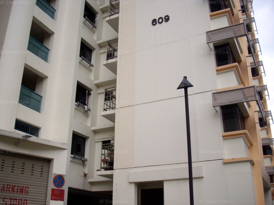 Blk 609 Jurong West Street 65 (Jurong West), HDB Executive #424862